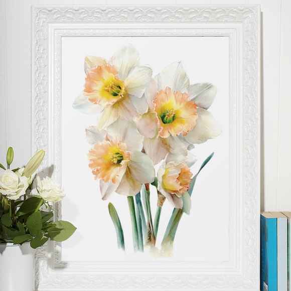 Watercolor Daffodils Flowers Wall Art Illustration Print Poster Unframed - Picture 5 of 6